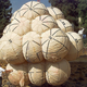 Image for article titled Is There Anything Space Balloons Can't Do?